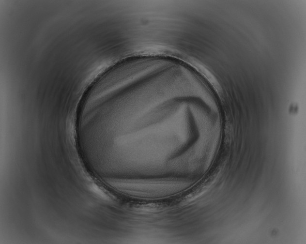 X0000101090485200807171852