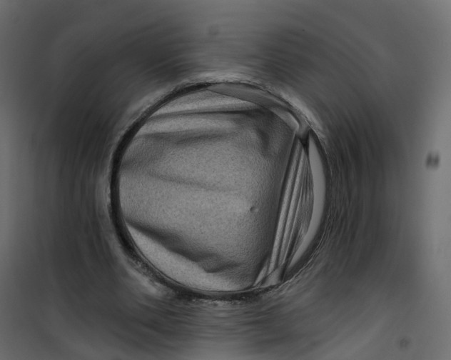 X0000101090486200807171852