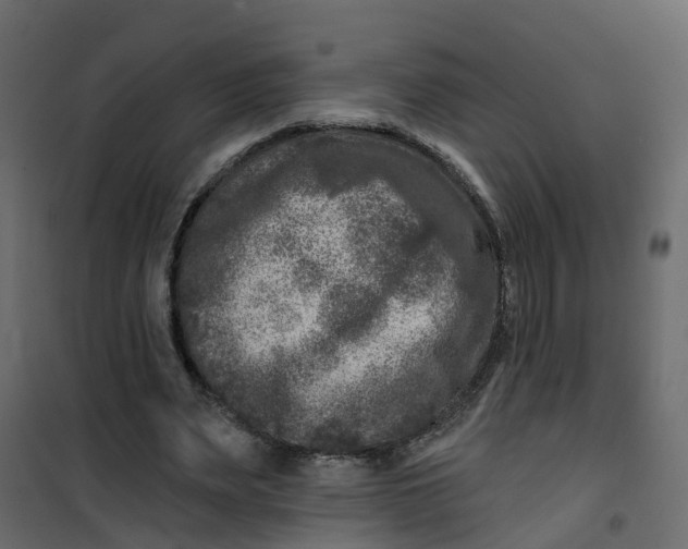 X0000101090487200807171852