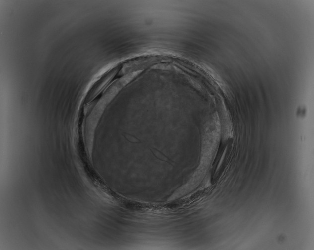 X0000101090488200807171852