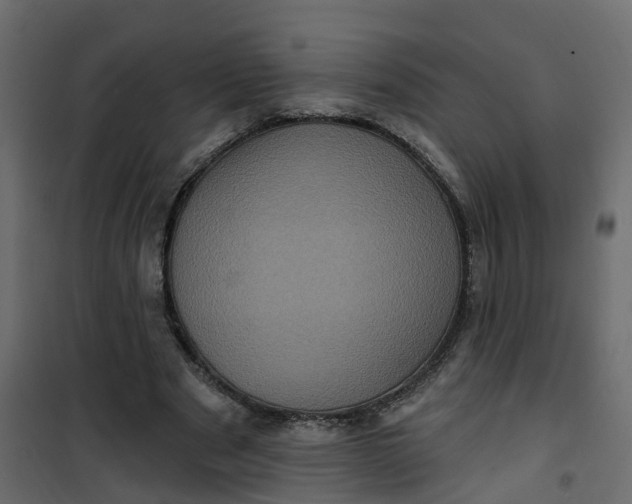 X0000101090489200807171851