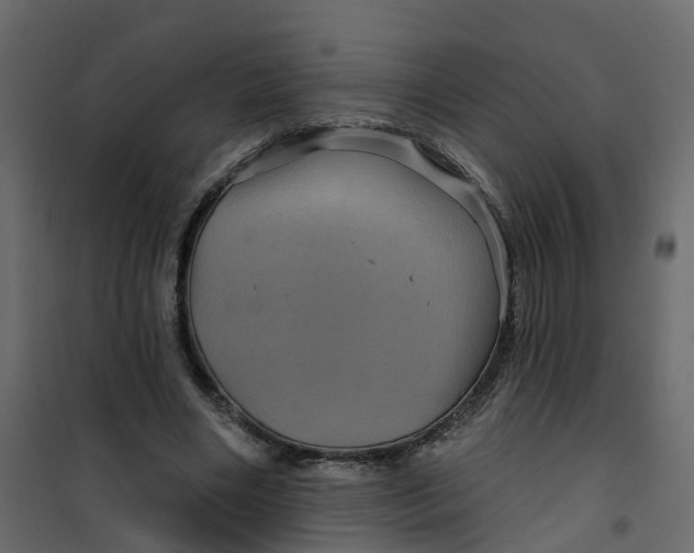 X0000101090490200807171851