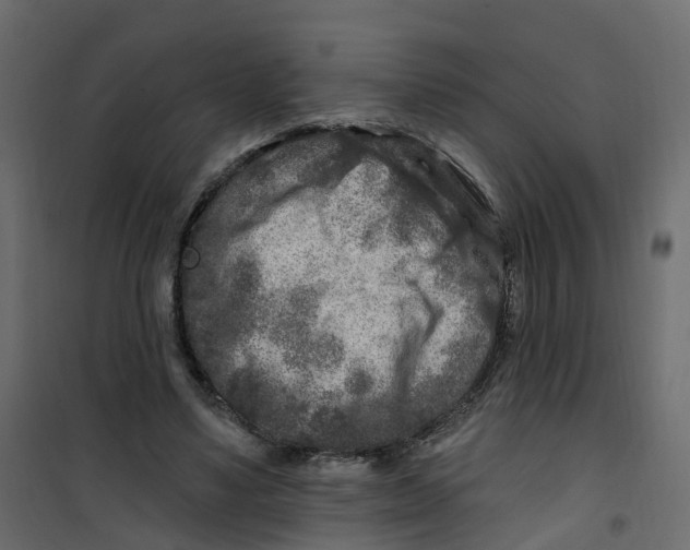 X0000101090491200807171851