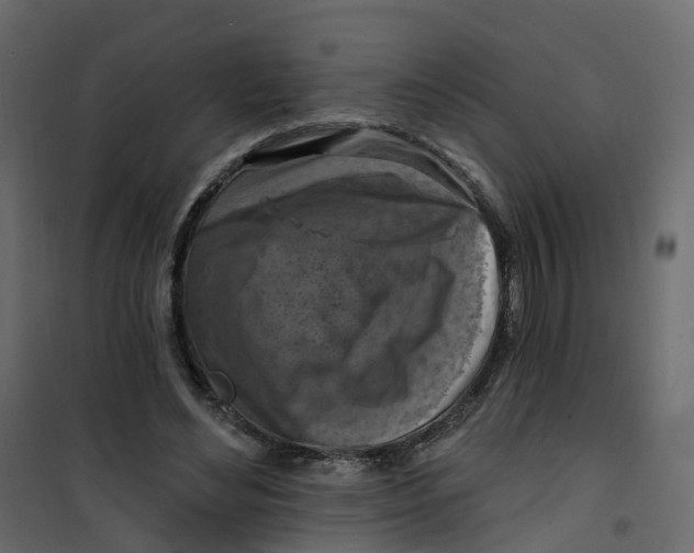 X0000101090492200807171851