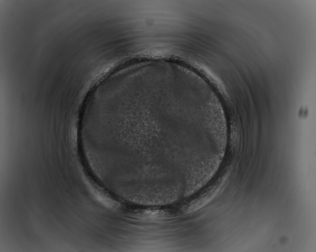 X0000101090493200807171851