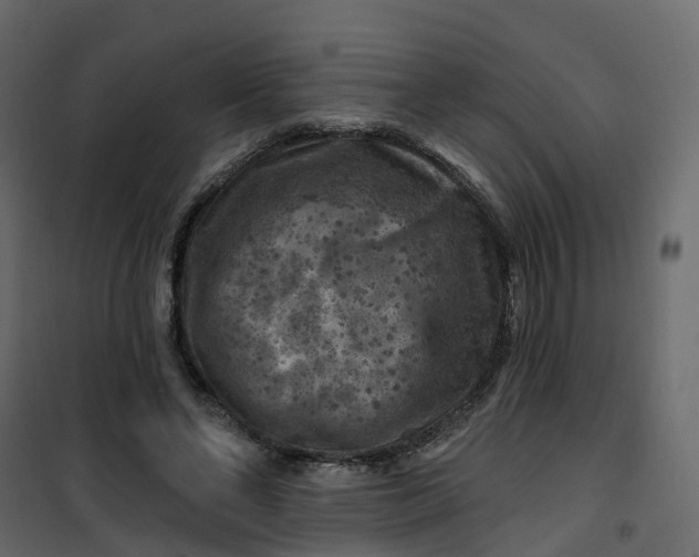 X0000101090494200807171851