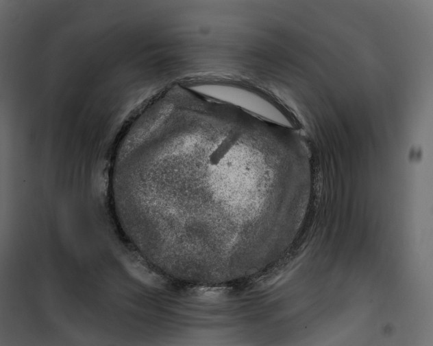 X0000101090495200807171851