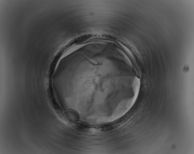 X0000101090496200807171851