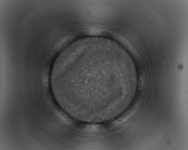 X0000101090497200807171851