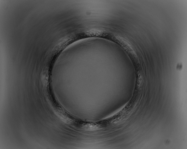 X0000101090498200807171851