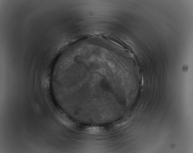 X0000101090499200807171851