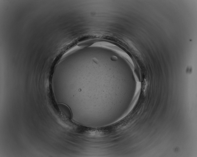 X0000101090500200807171851