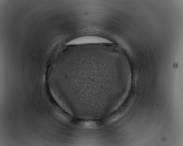 X0000101090501200807171851