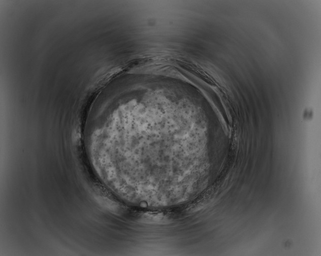 X0000101090502200807171851