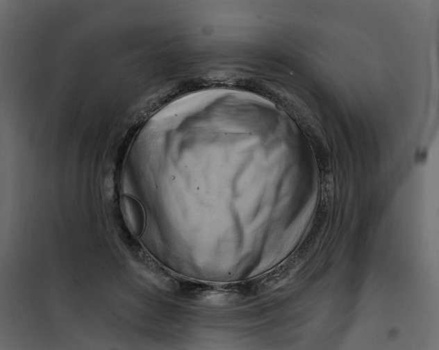 X0000101090504200807171851