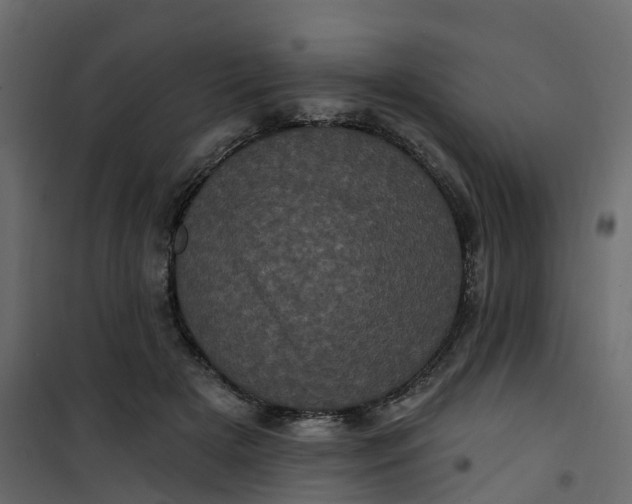 X0000101090505200807171851