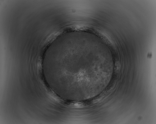 X0000101090506200807171851