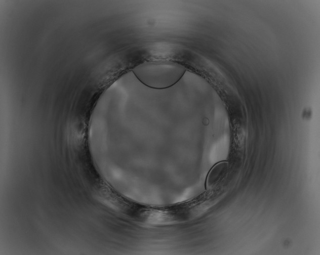 X0000101090507200807171851