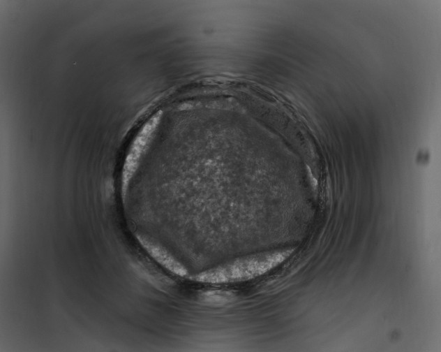 X0000101090508200807171851