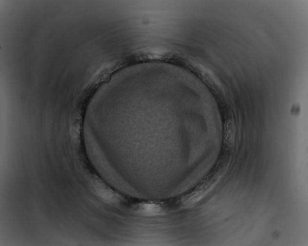 X0000101090509200807171851