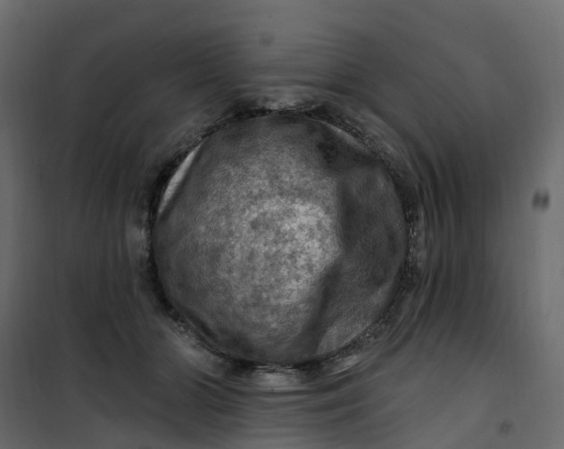 X0000101090510200807171851