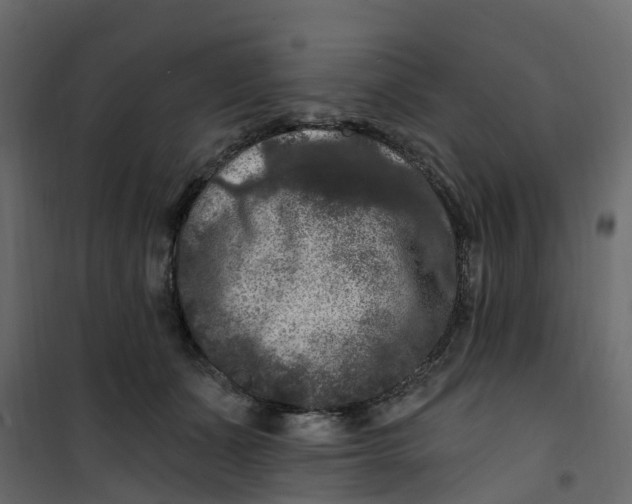 X0000101090511200807171851