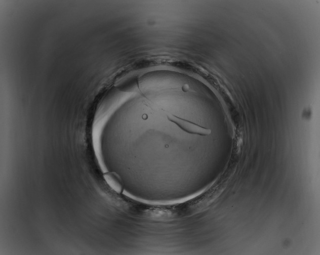 X0000101090512200807171851