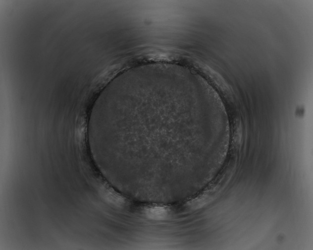 X0000101090513200807171851