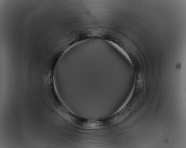 X0000101090514200807171851