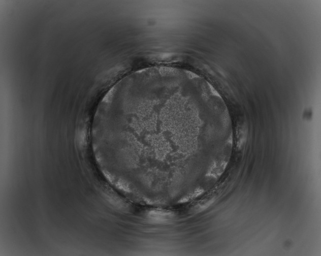 X0000101090515200807171851