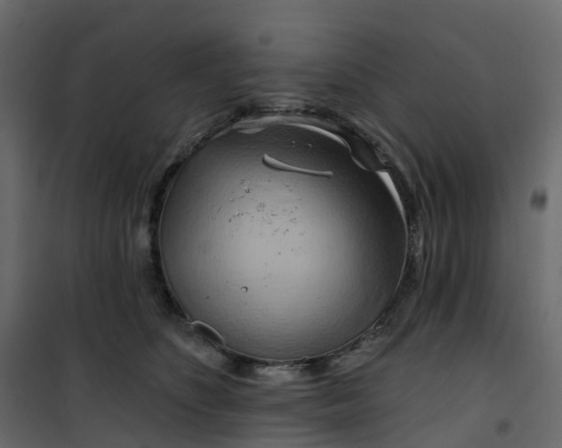 X0000101090516200807171851