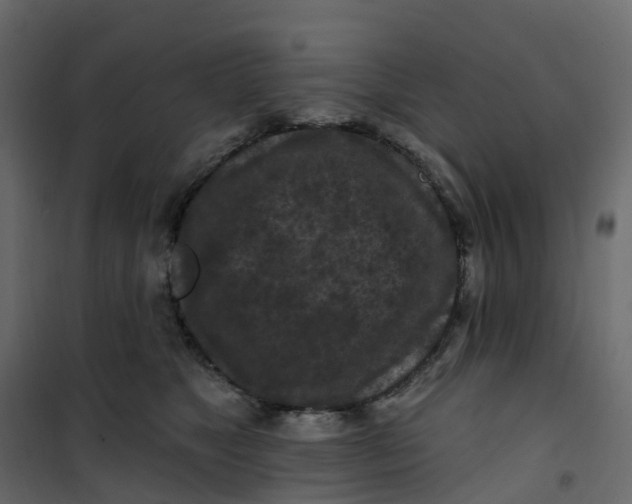 X0000101090517200807171851