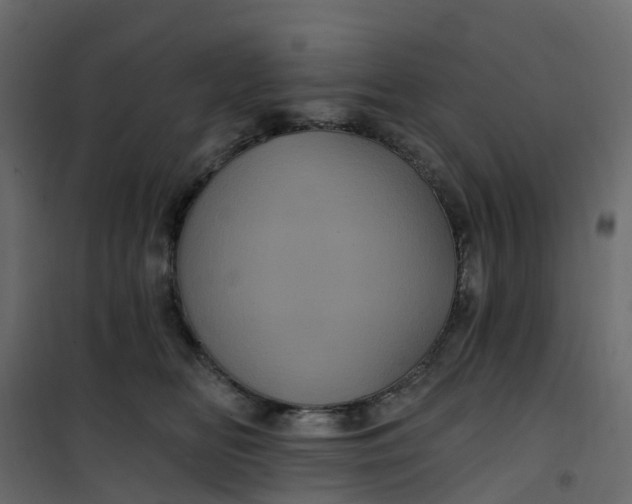 X0000101090518200807171851