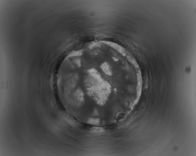 X0000101090519200807171851