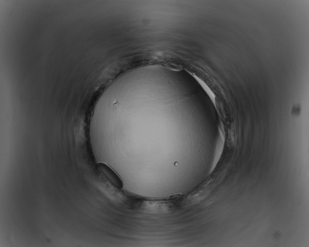 X0000101090520200807171851