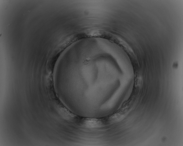 X0000101090521200807171851