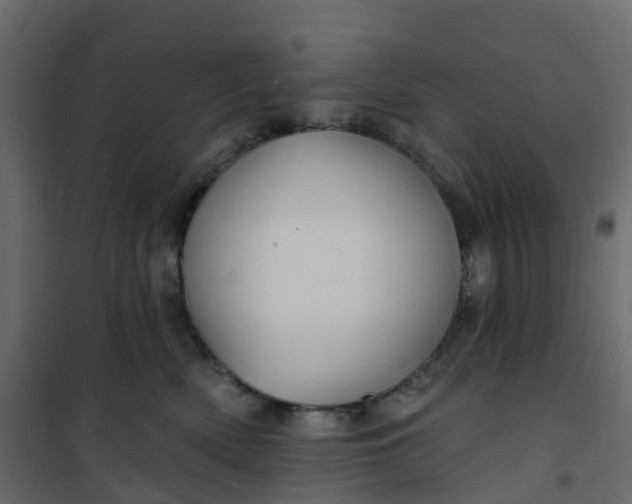 X0000101090522200807171851