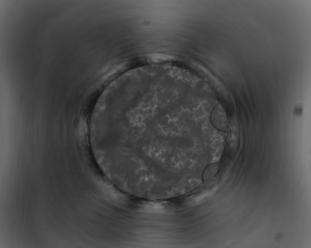 X0000101090523200807171851