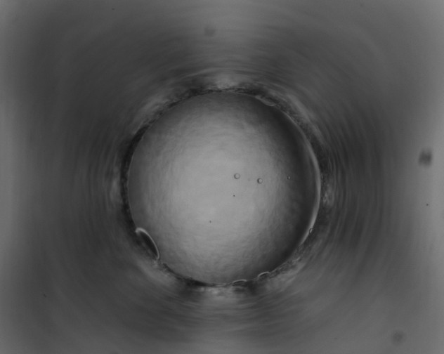 X0000101090524200807171851