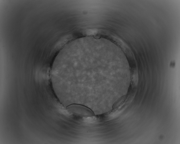 X0000101090525200807171851