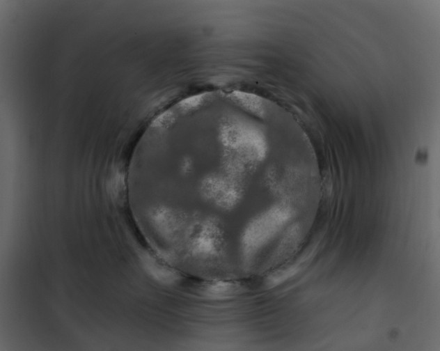 X0000101090527200807171851