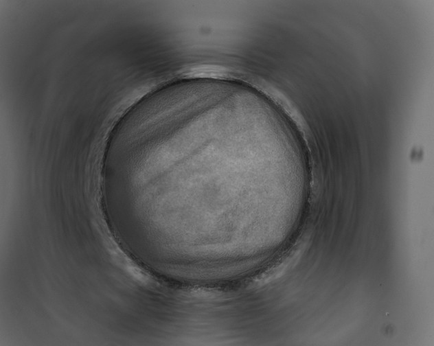 X0000101090529200807171850