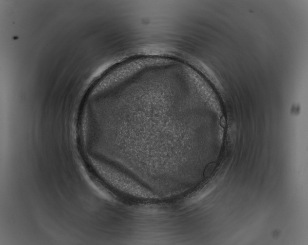 X0000101090530200807171850