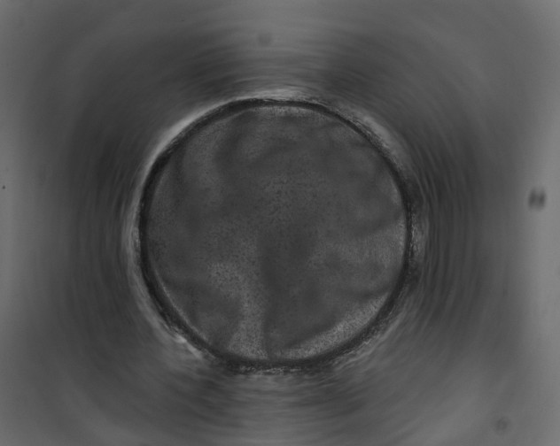 X0000101090532200807171850