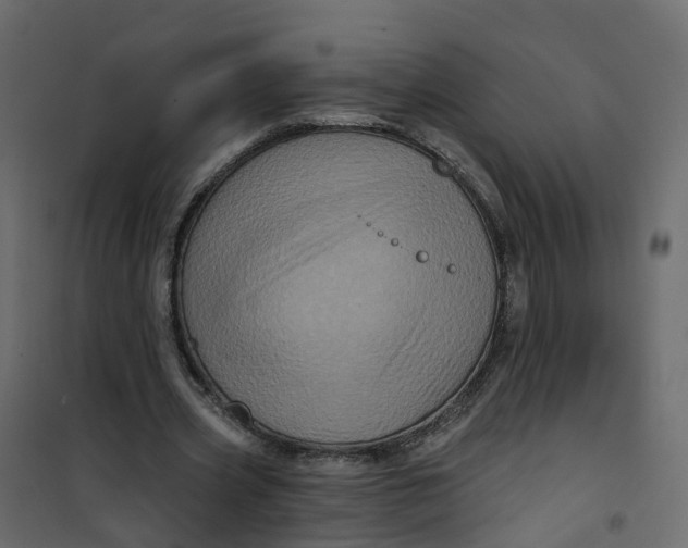 X0000101090533200807171850