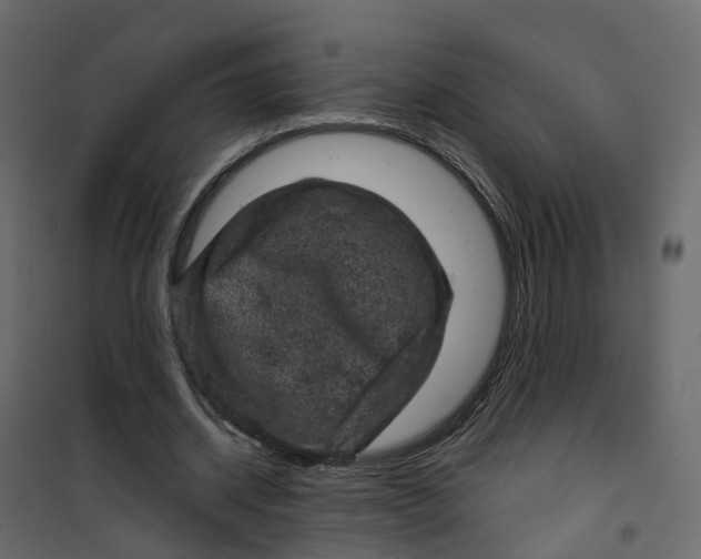 X0000101090534200807171850