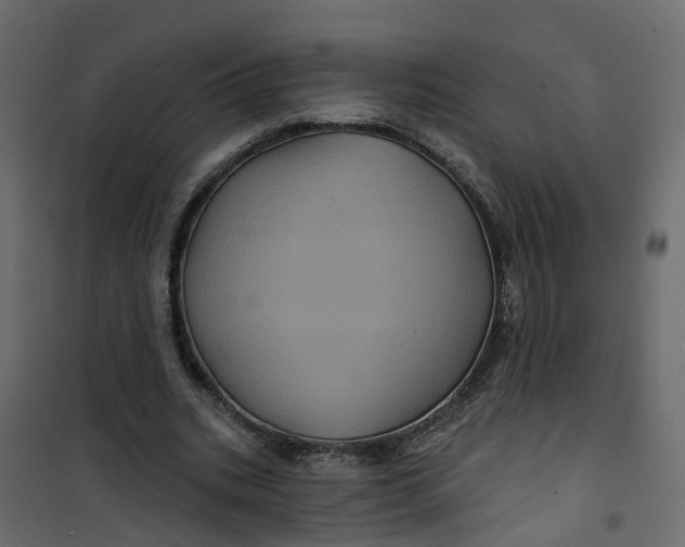 X0000101090535200807171850