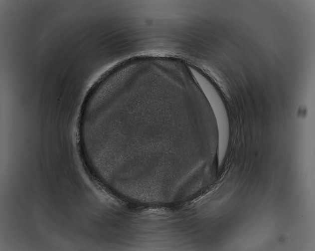 X0000101090536200807171850