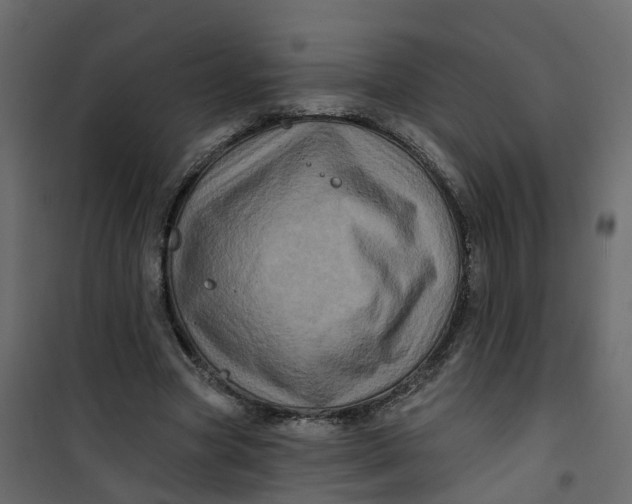 X0000101090537200807171850