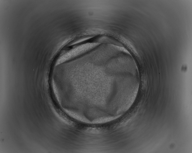 X0000101090538200807171850